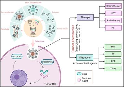 Cyclodextrin nanoparticles in targeted cancer theranostics